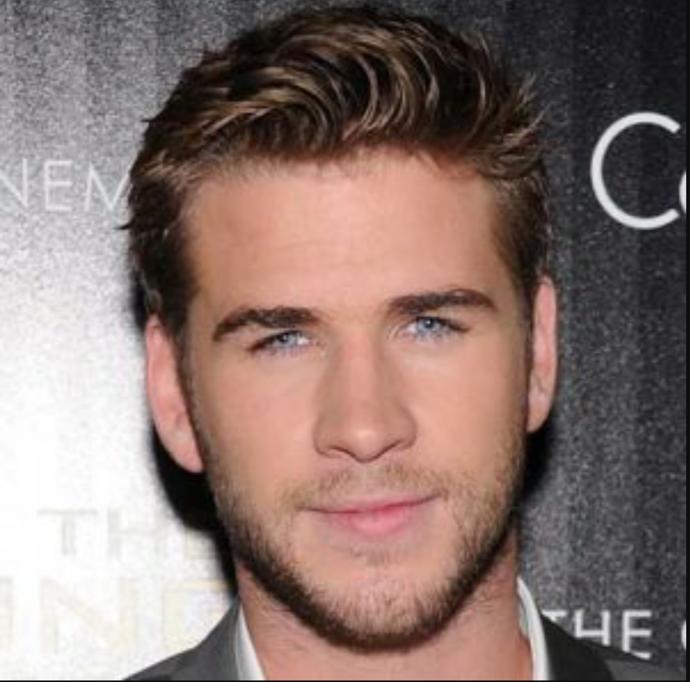 Which hemsworth brother do you find hotter?