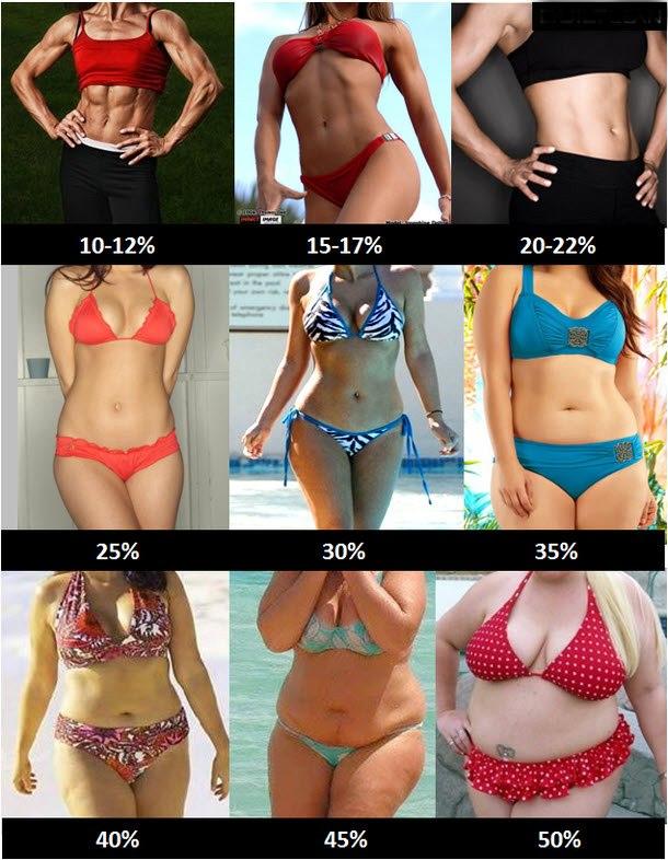 Guys, What is the most attractive body fat percentage on girls?