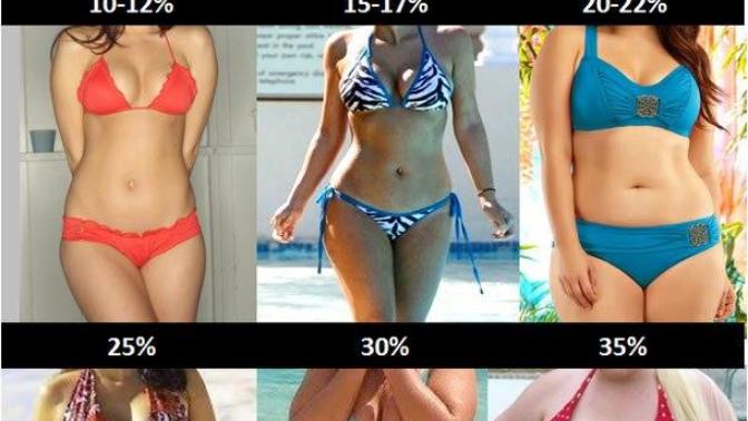 Guys, What is the most attractive body fat percentage on girls?