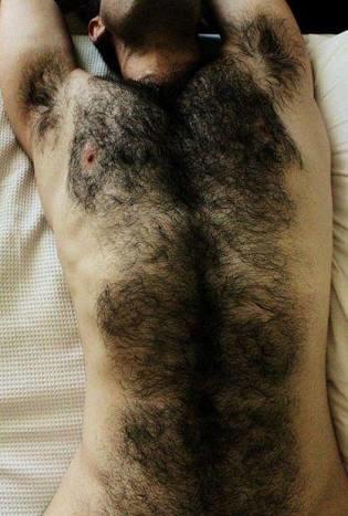 Does Lot Of Male Body Hair Look Seriously Too Gross Girlsaskguys
