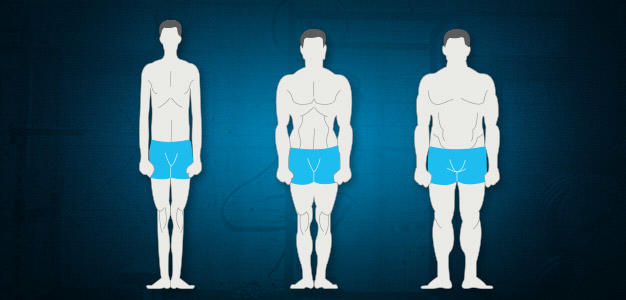 Girls, Which body type do you Love/Like the most on guys ...