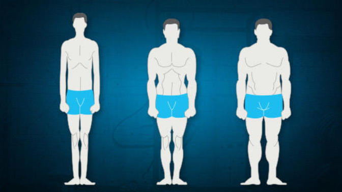 Girls, Which body type do you Love/Like the most on guys? Pic Below?