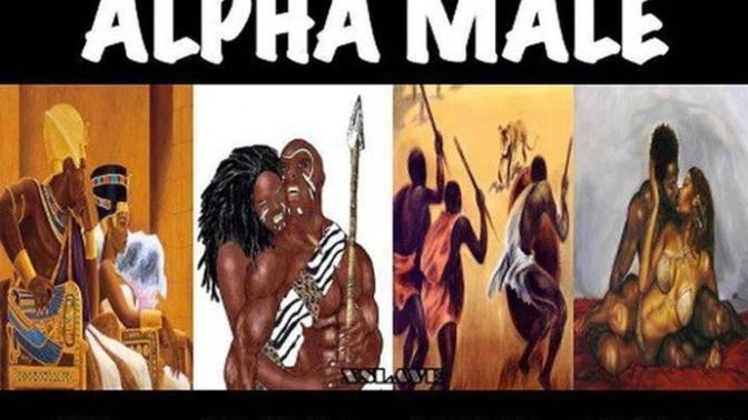 Girls why do you prefer us Alpha Males to weak Betas?