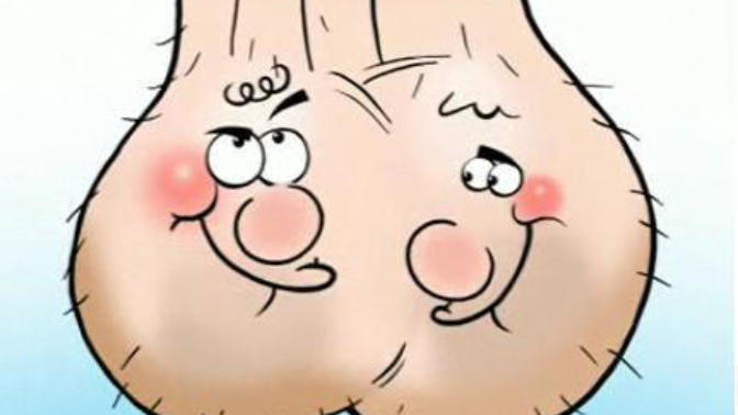 Girls, Do you find balls (testicles) sexy?
