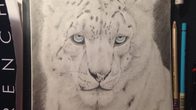 Honest feedback on my drawings?