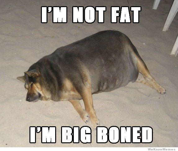 Why is FAT popular?