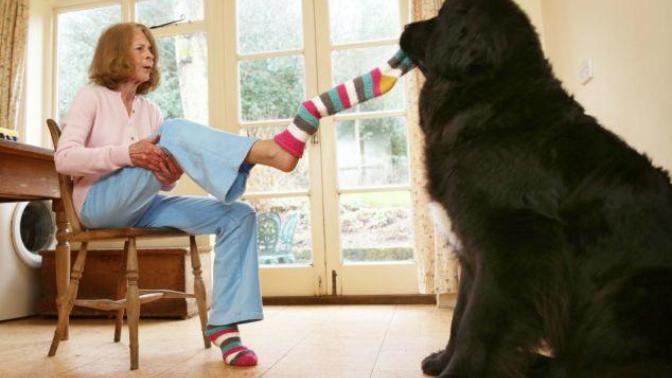 Ladies why get with a man for the rest of your life when you could have a dog?