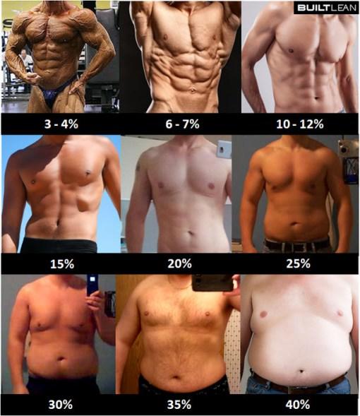 fat percentage