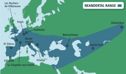 Is the White Caucasoid a HYBRID between caucasoids and neanderthals?