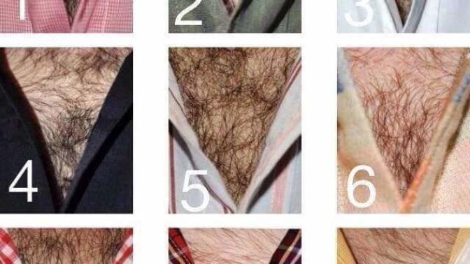 How hairy can you like a man chest?
