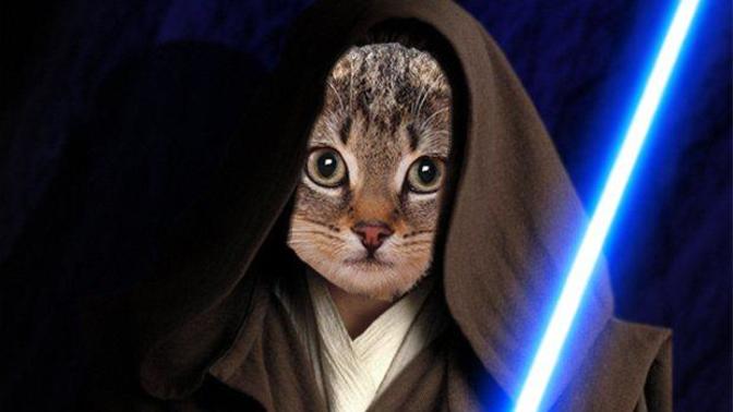Is there anything you wish to ASK JEDI CAT?