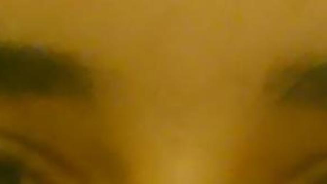 Should I wax my eyebrows? (pic)?