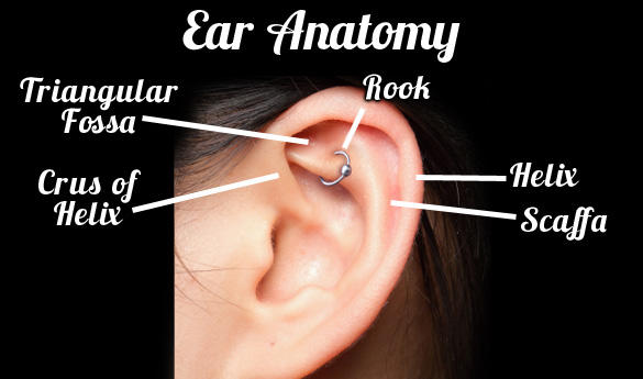 What is the coolest looking type of Piercing?