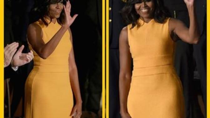 Michelle Obama's Dress: Love It Or Hate It?