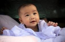 Which mix creates the cutest babies?