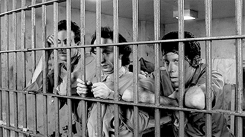 I want your opinion! Would you stay inside a parental cage?
