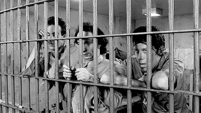 I want your opinion! Would you stay inside a parental cage?
