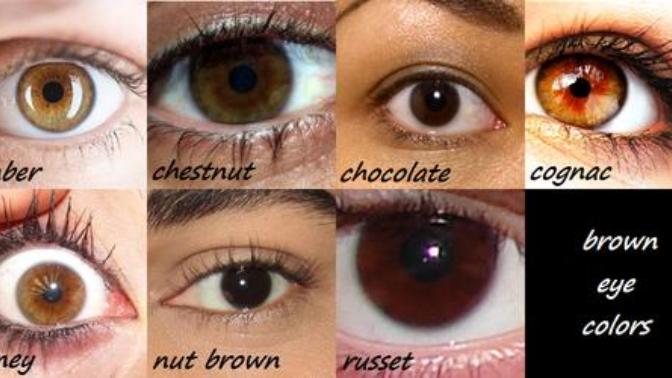 Which is the most common shade of brown eyes?