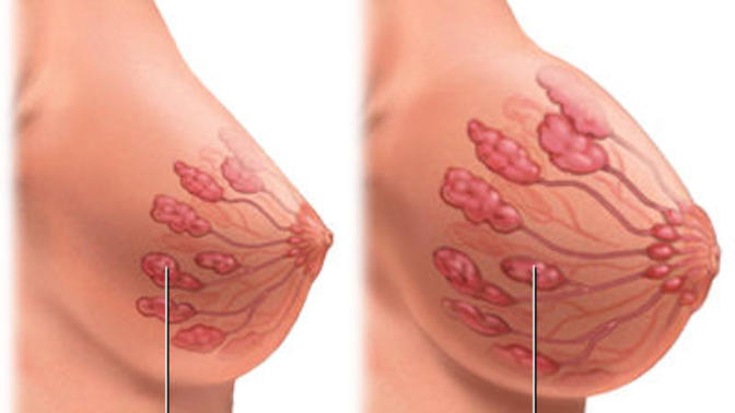 Girls, when you get pregnant how much bigger do your boobs get?