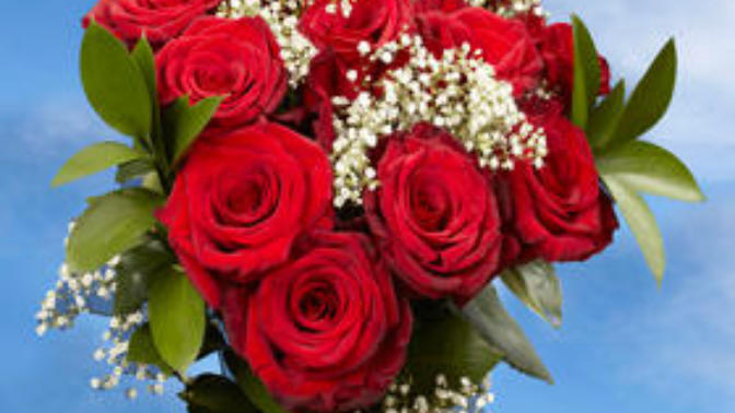 Guys, are you getting roses for your sweetie on Valentine's Day? Having them delivered?