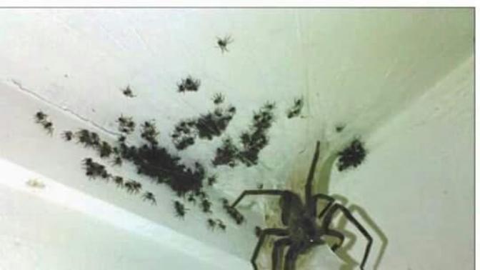 Would you bath in here for 35 minutes for 100 million dollars?