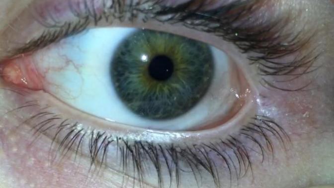 What color do you think my eyes are?