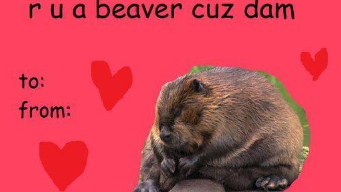 💋‍❤️‍ What are your plans for Valentine's Day ❤️‍💋‍?
