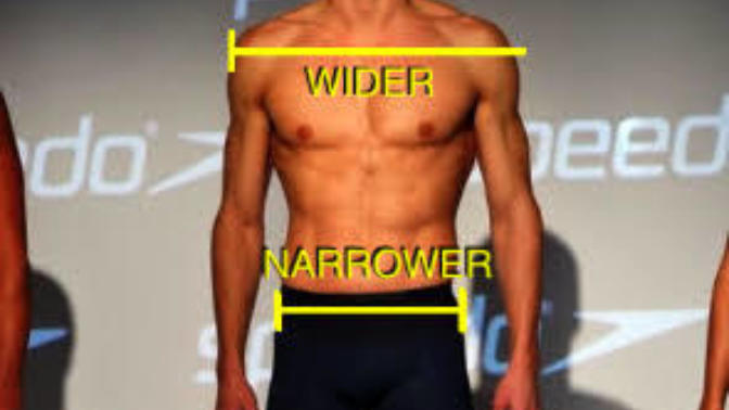 What approximately would be their body fat percentage and chest and arm size?
