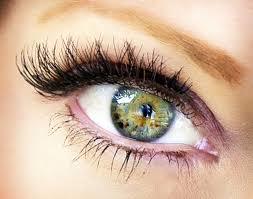 What colour eyes from these, do u like?