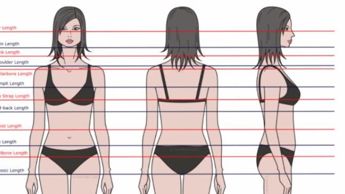 Guys: which hair length do you find most attractive on a woman (pic and poll included)?