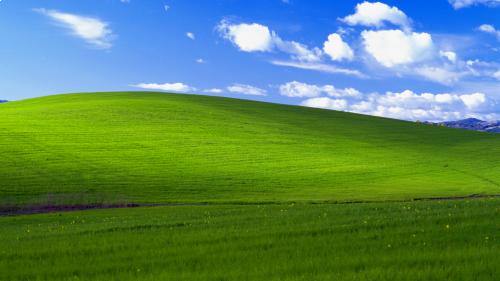 What picture is on your computer desktop or tablet background right now?