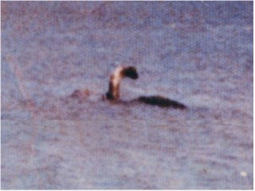 What's your favorite American cryptid?