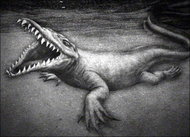 What's your favorite American cryptid?