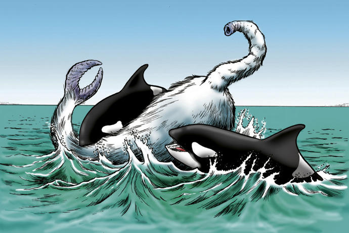 What is your favorite Sea Cryptid?
