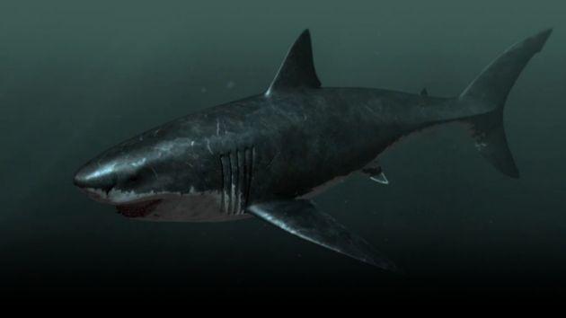 What is your favorite Sea Cryptid?