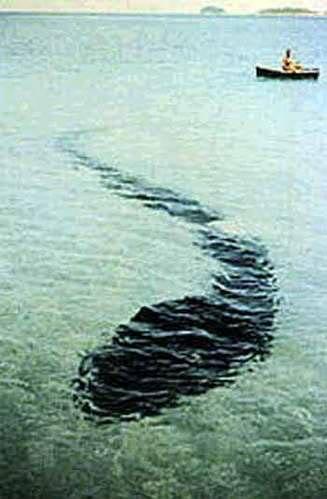 What is your favorite Sea Cryptid?