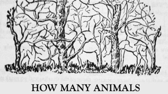 How many animals do you see in this picture?