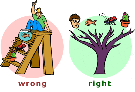 Why do creationists say that macro-evolution means one animal evolving into a different kind as opposed speciation (which has been observed)?.