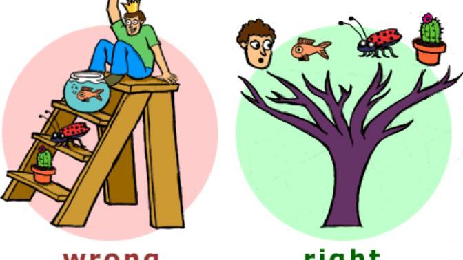 Why do creationists say that macro-evolution means one animal evolving into a different kind as opposed speciation (which has been observed)?