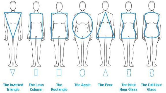 Girls, which body type are you , and which type you prefer? Guys which body type you fidn attractive on girls?