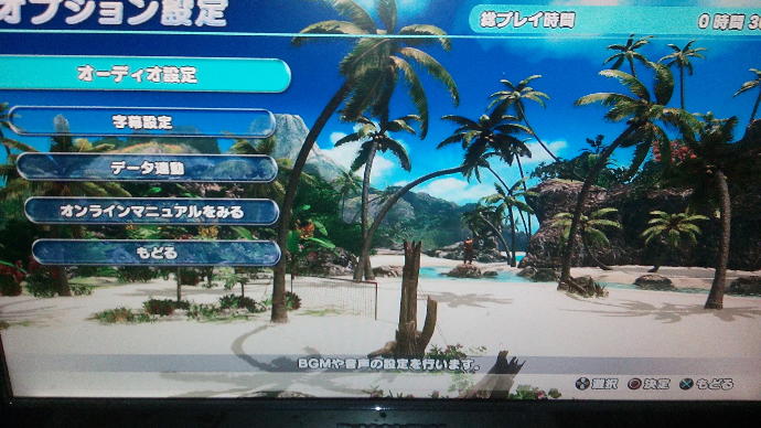 Can somebody translate the Japanese menu for Dead or Alive Xtreme 3?