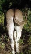 Rate my ass? 1-10?