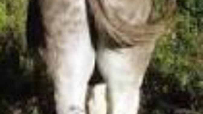 Rate my ass? 1-10?