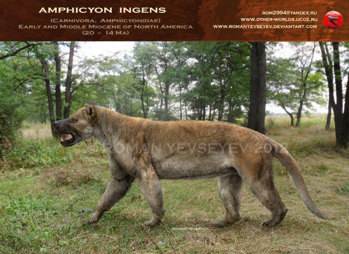 What kind of animal do you think that the Beast of Gevaudan was?