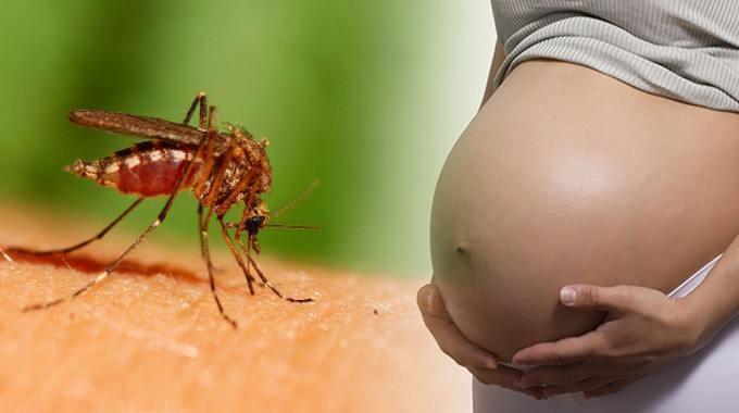 Zika Virus: Scarier than we thought?