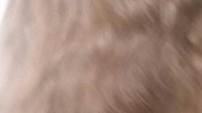 What do you think my hair color is?