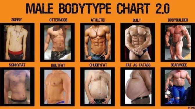Which would be the ideal body to build just to stay fit and keep facial aesthetics at its optimum?