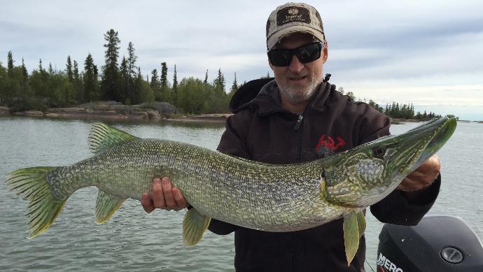 What's your favorite freshwater fish?