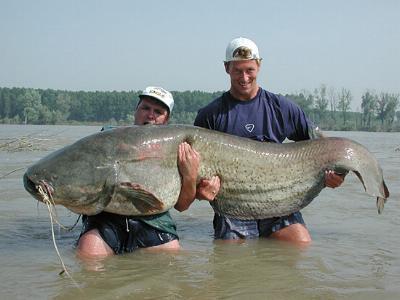 What's your favorite freshwater fish?