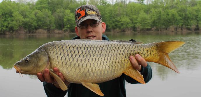 What's your favorite freshwater fish?